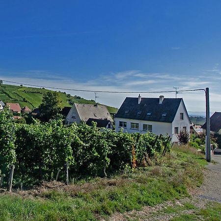 Gite Les Deux Belettes Riquewihr Exterior photo